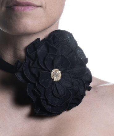 Apis Mellifera Cypria Flower